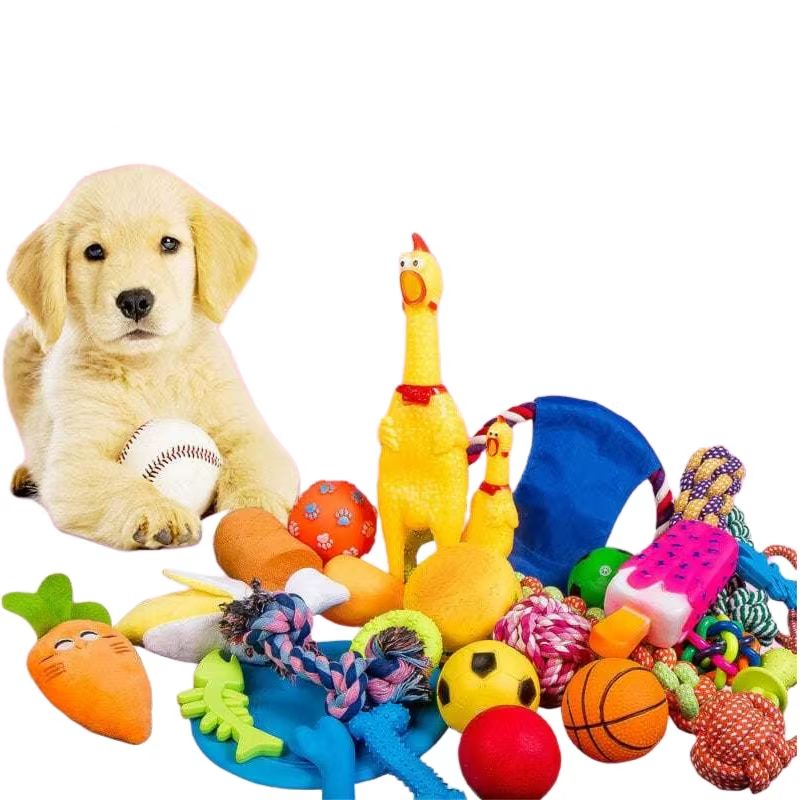 Kit de Brinquedos Interativos para Cães